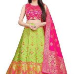 Best Multi Ensemble Women Lehenga Choli