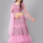 Banita Pretty Pink Women Lehenga